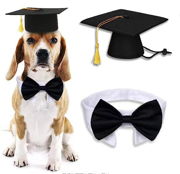 Dog Doctorial Hat Party Costume For Pets