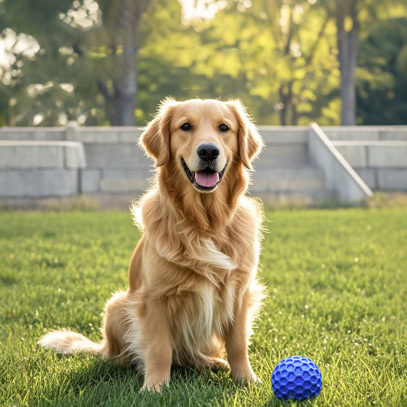 Squeaky Balls for Aggressive Chewers, Two Sizes