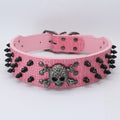 Skull Studded Dog Collar in Multiple Colors