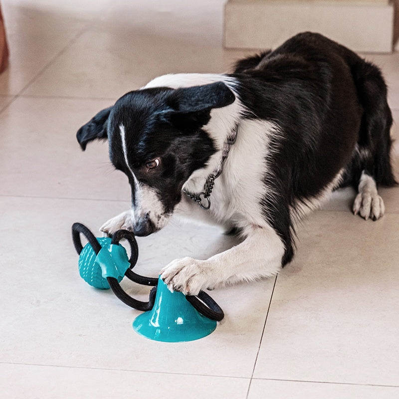 Natural Rubber Chew and Fetch Toy with Rope