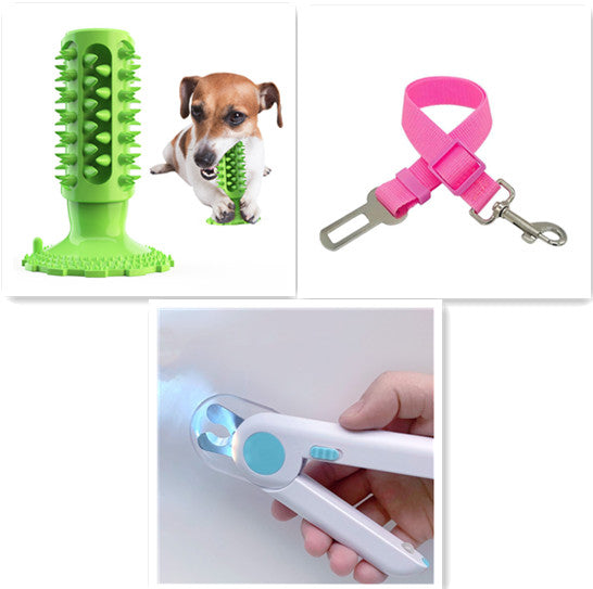 Toothbrush Stick for Dogs