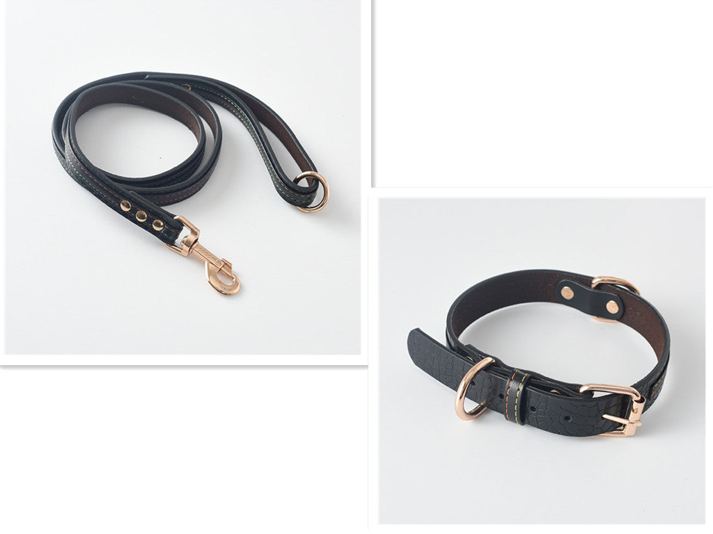 Durable Dog Collar and Leash Set in Multiple Colors