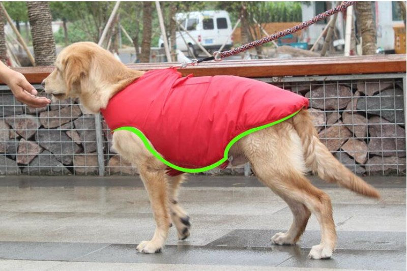 Winter Cotton Coat for Dogs in Pink, Red, and Blue