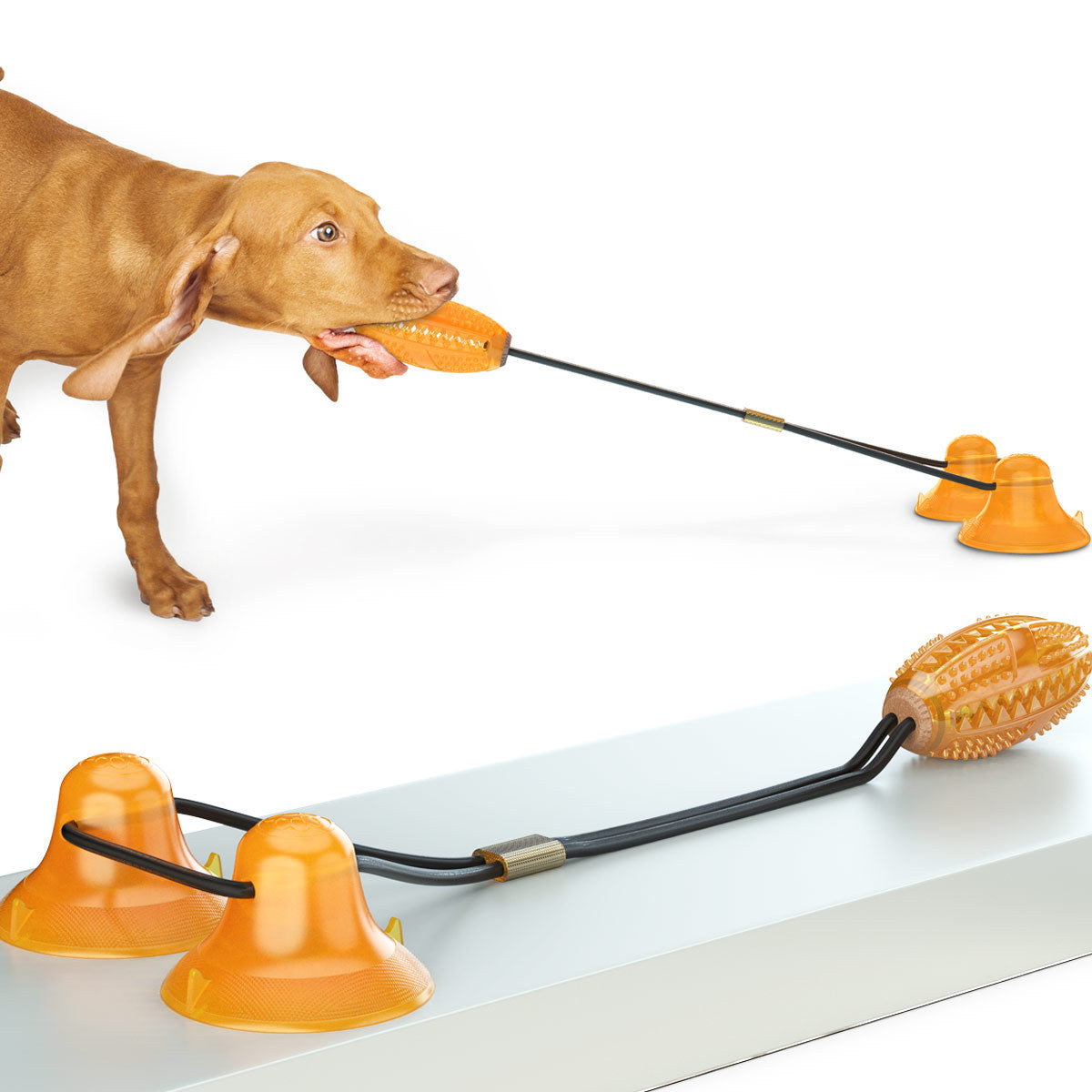 Suction Cup Rope Toy with Two Balls