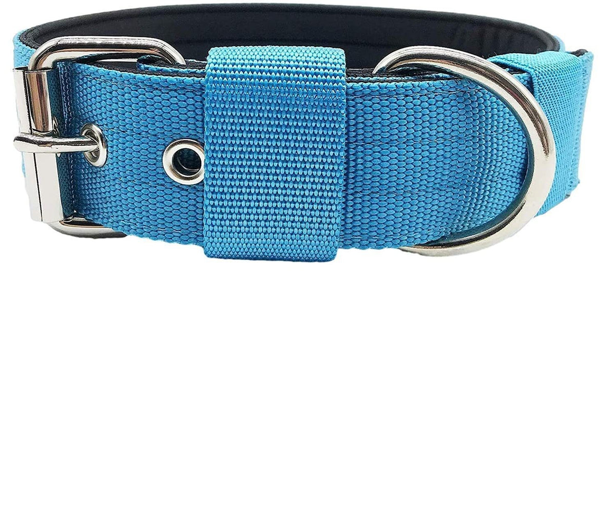 Padded Nylon Dog Collar - Blue