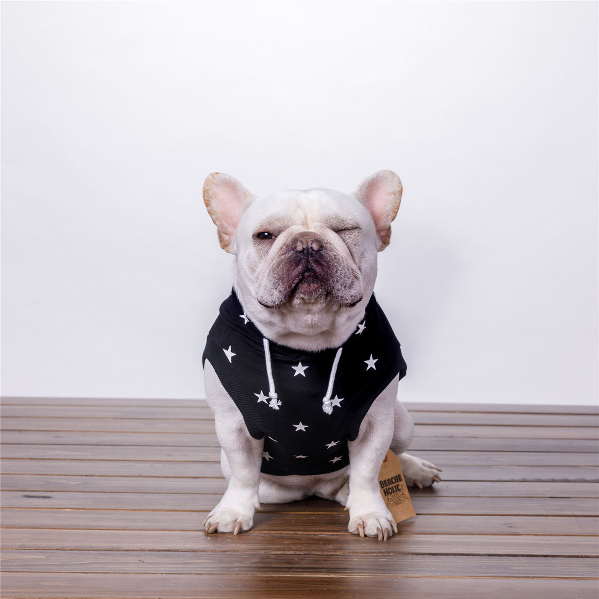 Cozy Hoodie Sweatshirt for Small Dogs in White and Black