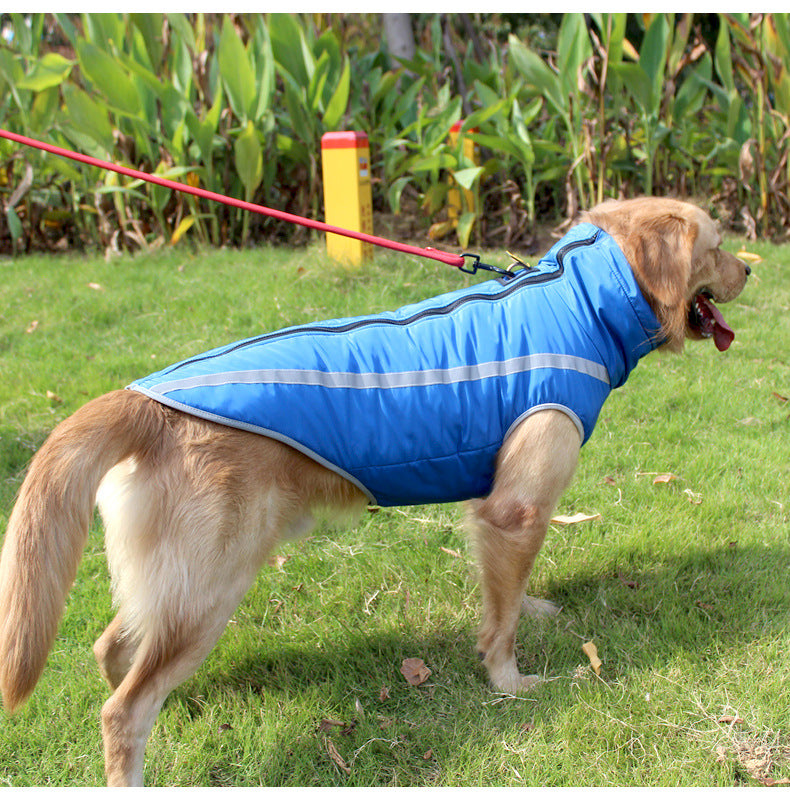 Winter Warm Dog Coat in Multiple Colors
