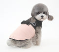 Warm Winter Dog Coat in Pink, Yellow, Red, and Blue