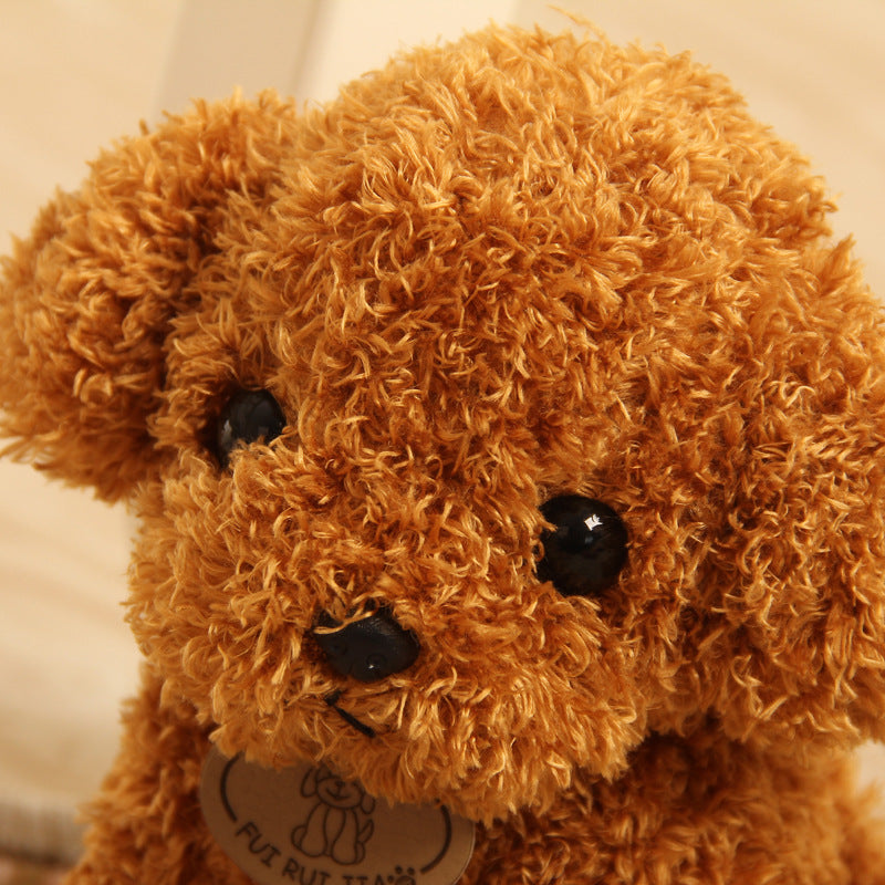 Soft Teddy Dog Plush Toy in Multiple Colors
