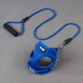 Multicolor Leash and Collar Set in Large