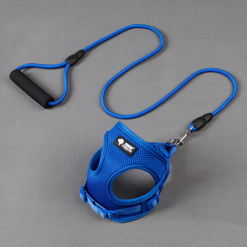 Multicolor Leash and Collar Set in Large