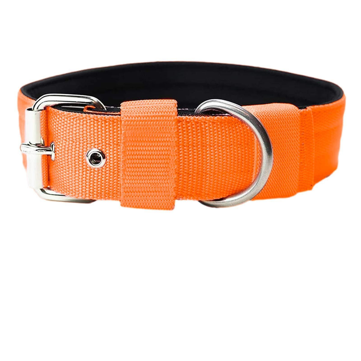 Padded Nylon Dog Collar - Orange