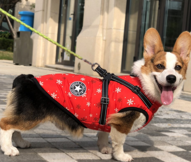Winter Warm Hooded Dog Coat Jacket For Small Dogs
