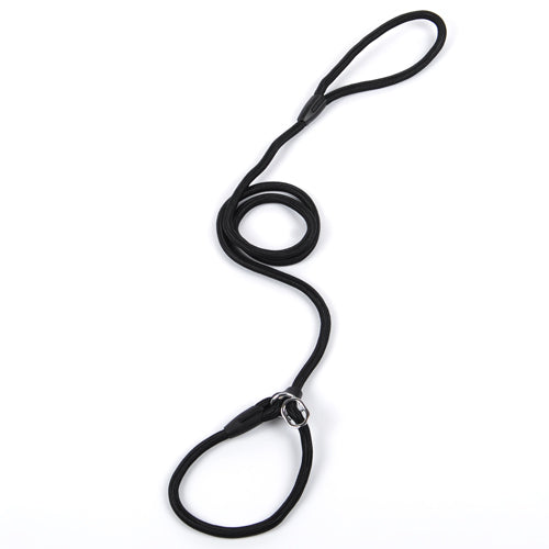 Dog Leash in Multiple Colors and Widths
