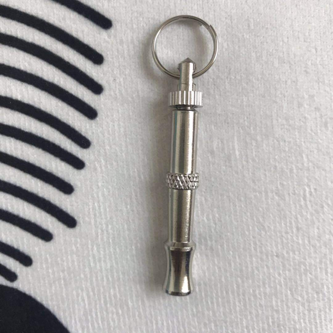 Silver Dog Training Whistle