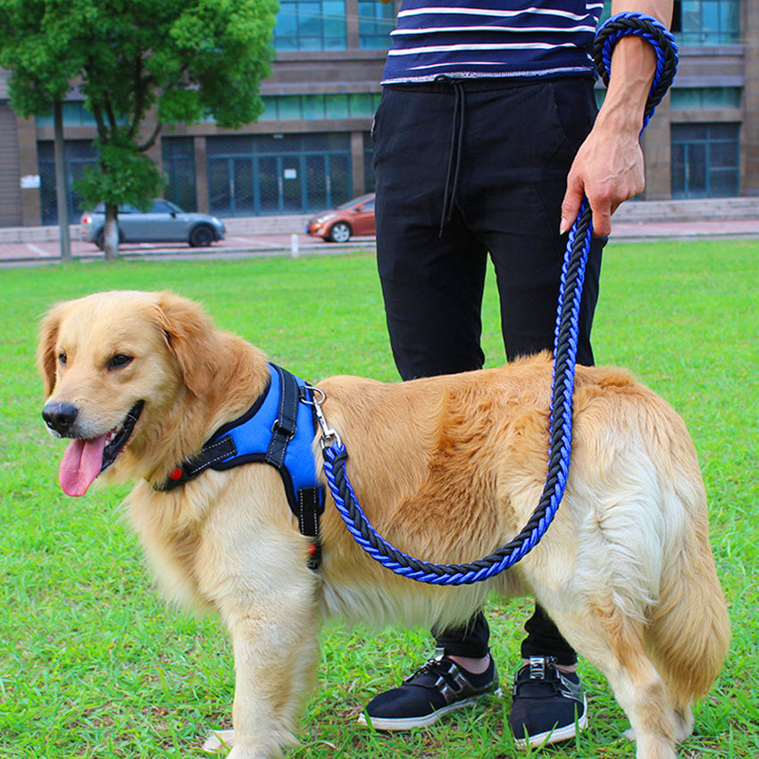 Dog Leash Chest Strap Harness in Multiple Colors