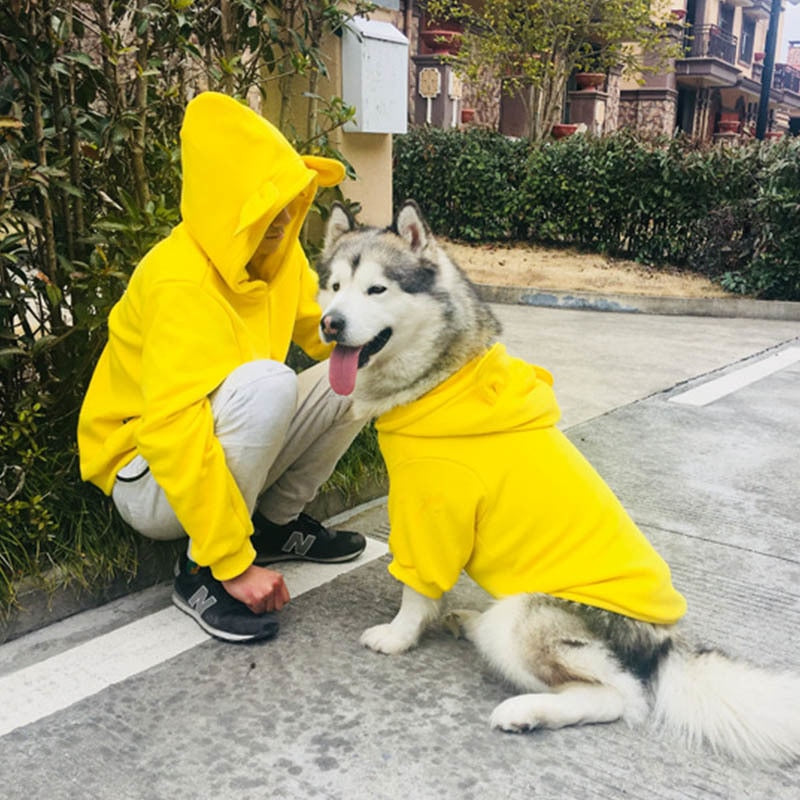 Warm Knit Dog Sweater for Cool Days