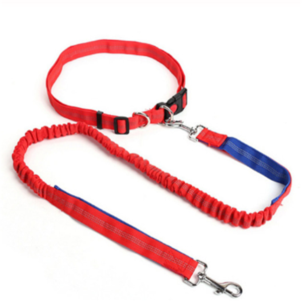 Traction Rope Dog Leash