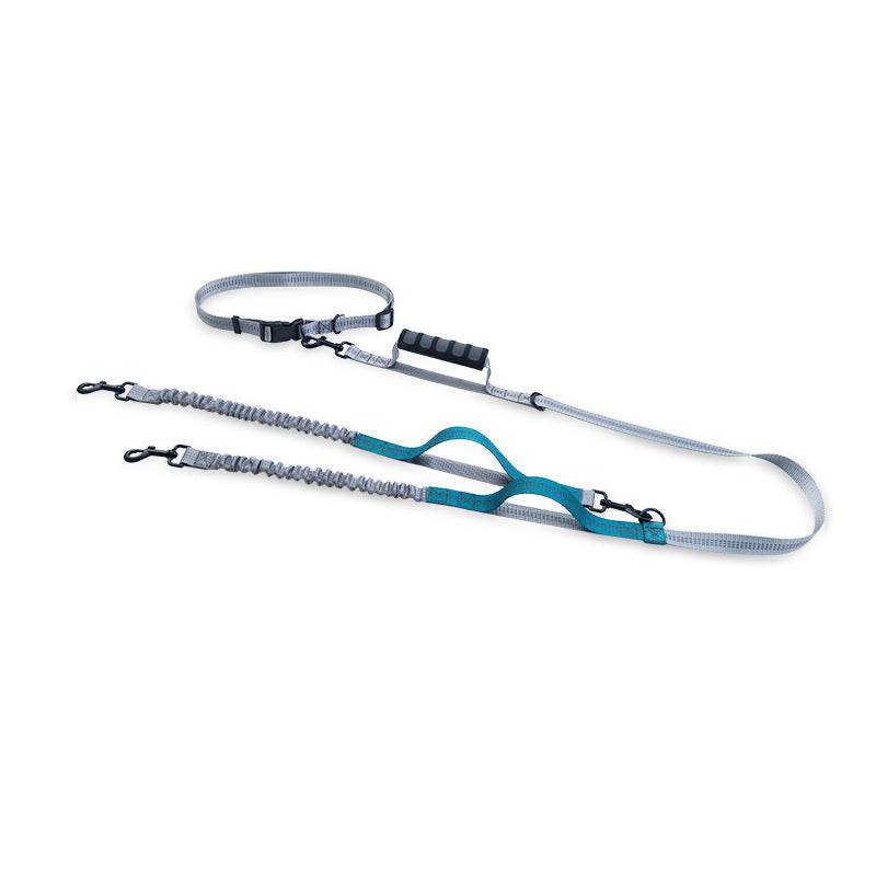 Reflective Dog Leash for Walking