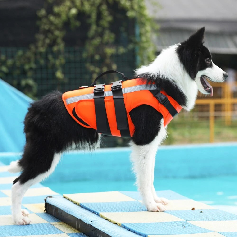 Reflective Orange Dog Swim Vest