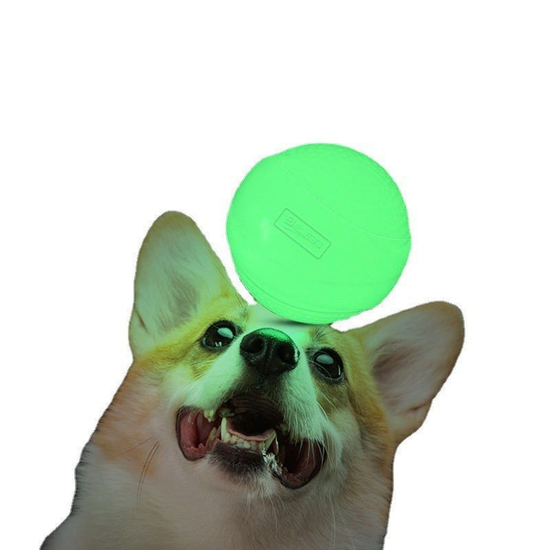 Luminous Rubber Molar Ball Dog Toy