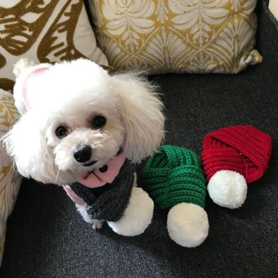 Wool Scarf in Red and Green
