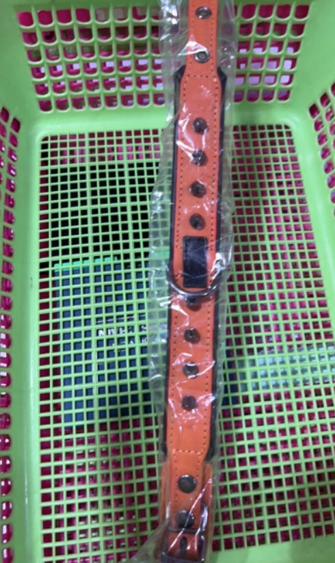 Spiked Leather Dog Collar - Orange