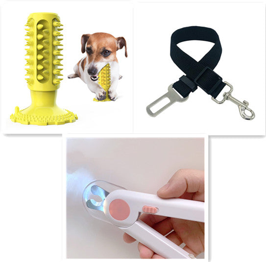 Toothbrush Stick for Dogs