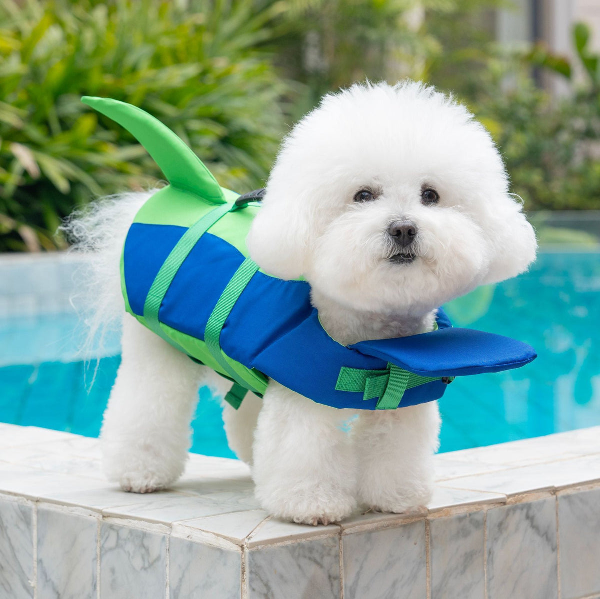 Dog Swim Vest with Grab Handle in Multiple Colors