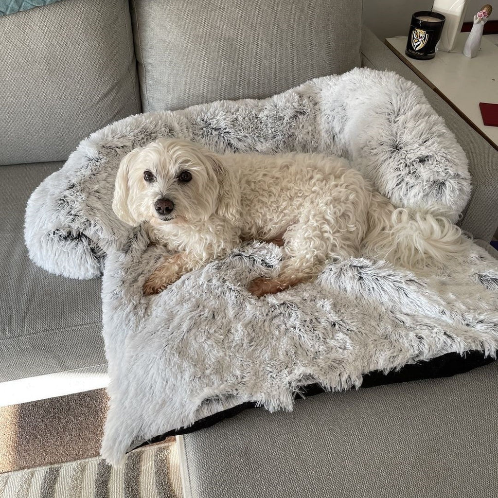 Dog Bed in Light Grey and Grey