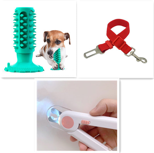Toothbrush Stick for Dogs