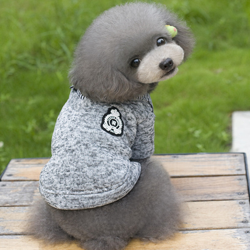 Cozy Dog Hoodie in Grey and Blue