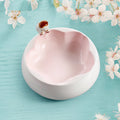 Pet Water Bowl for Dogs