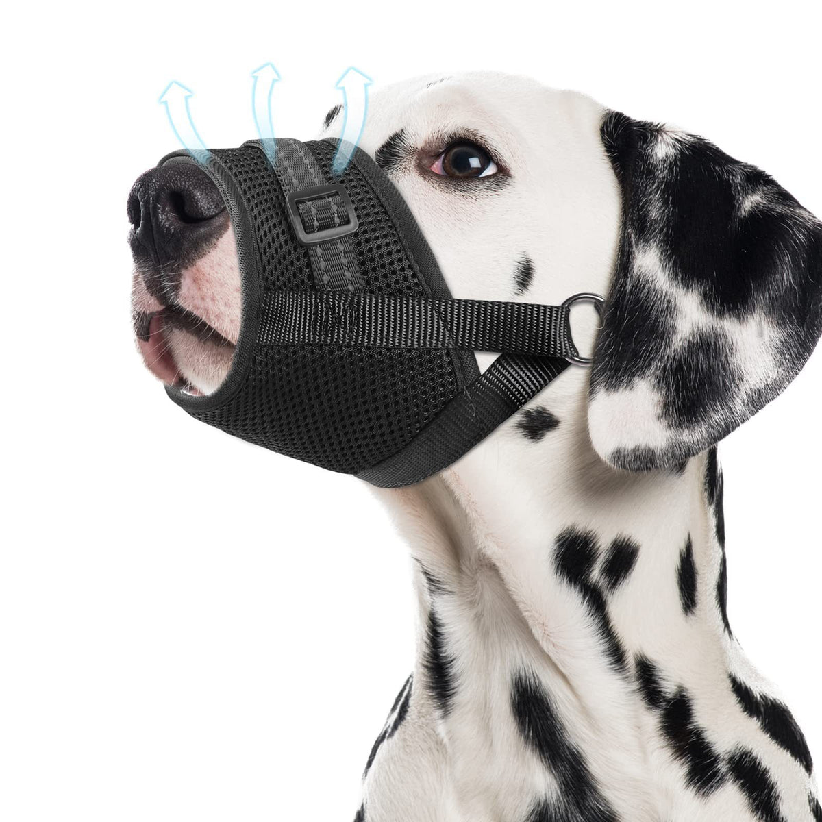 Soft Breathable Mesh Dog Muzzle, Adjustable