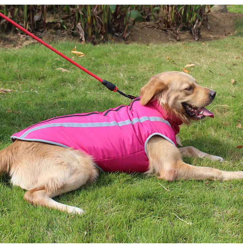 Winter Warm Dog Coat in Multiple Colors