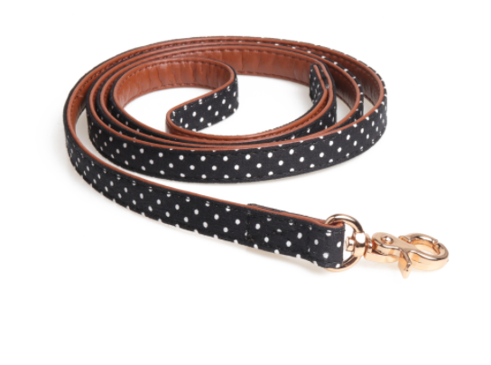 Polka Dot Dog Collar and Leash Set