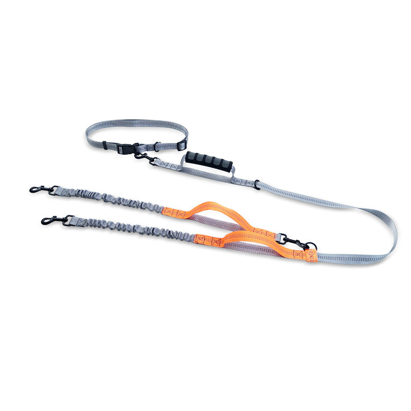 Reflective Dog Leash for Walking