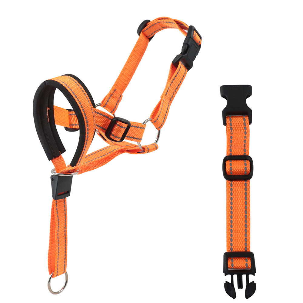 Padded Dog Head Halter in Red, Blue, Orange