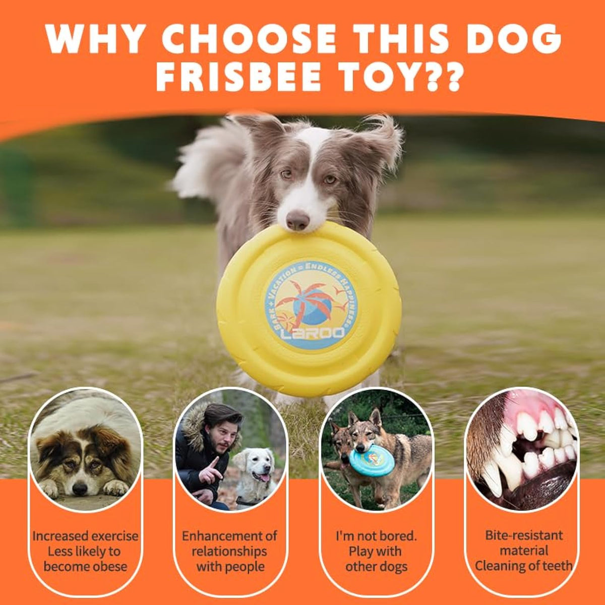 Durable Flying Disc for Dogs in Blue and Yellow