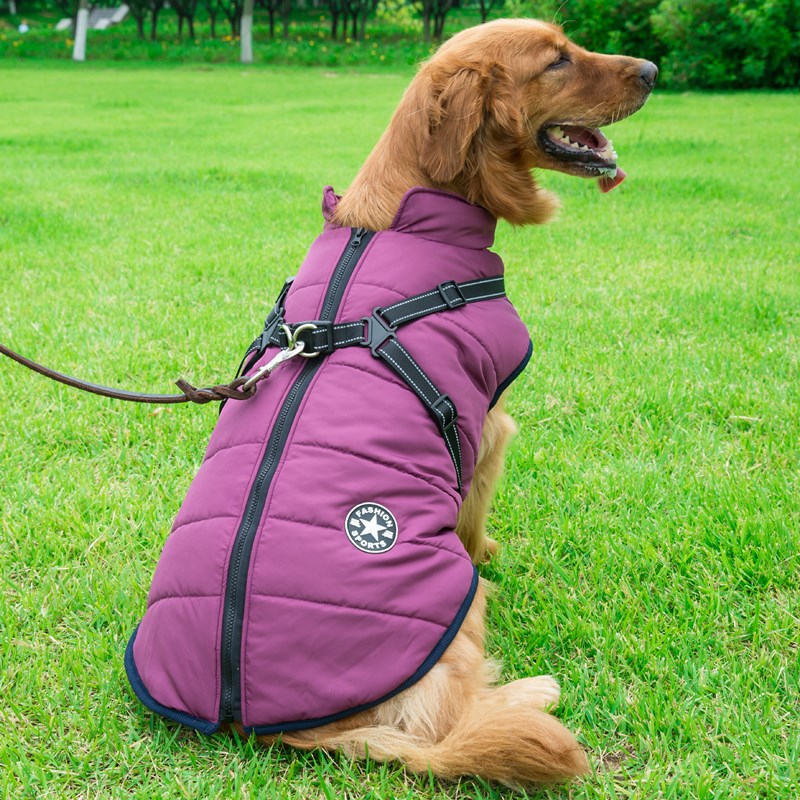 Winter Warm Hooded Dog Coat Jacket For Small Dogs