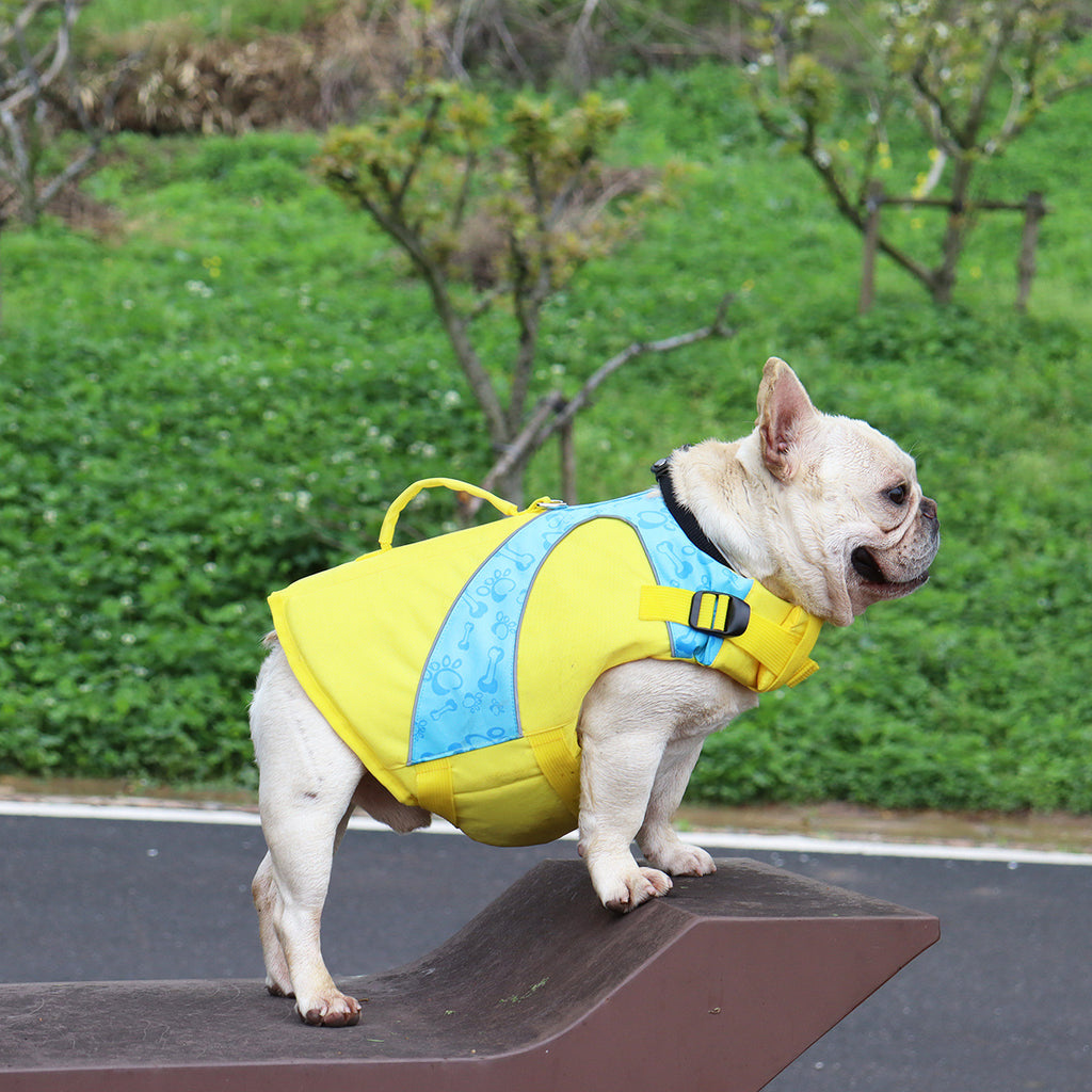 High-Contrast Yellow Dog Swim Vest