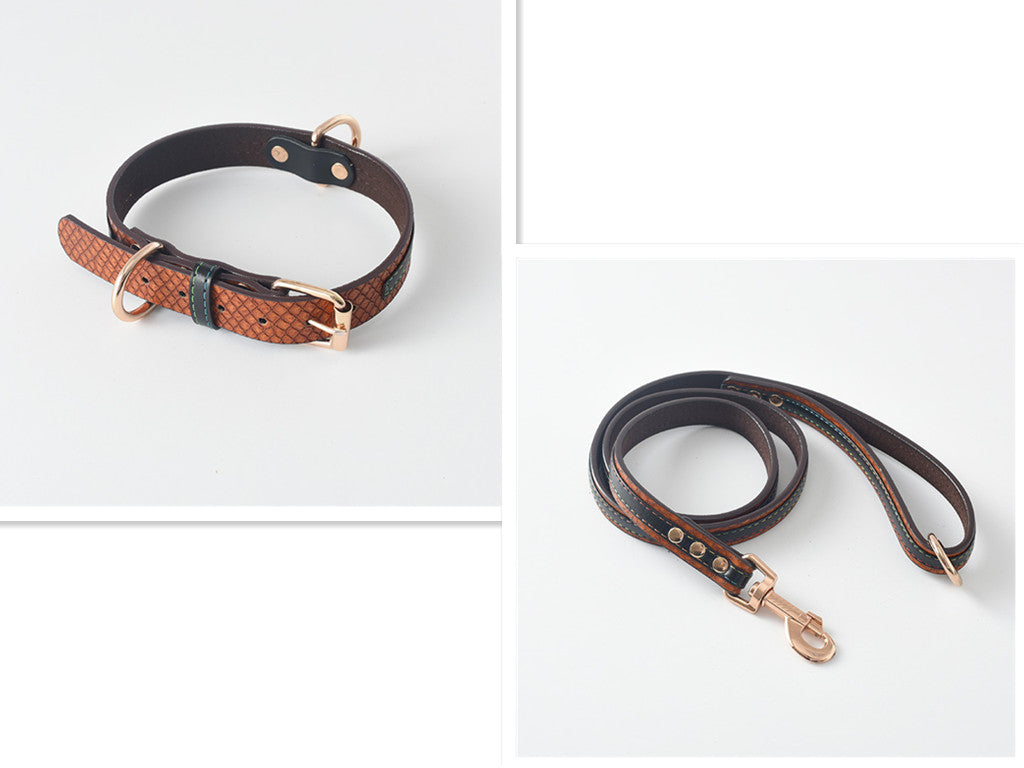 Durable Dog Collar and Leash Set in Multiple Colors