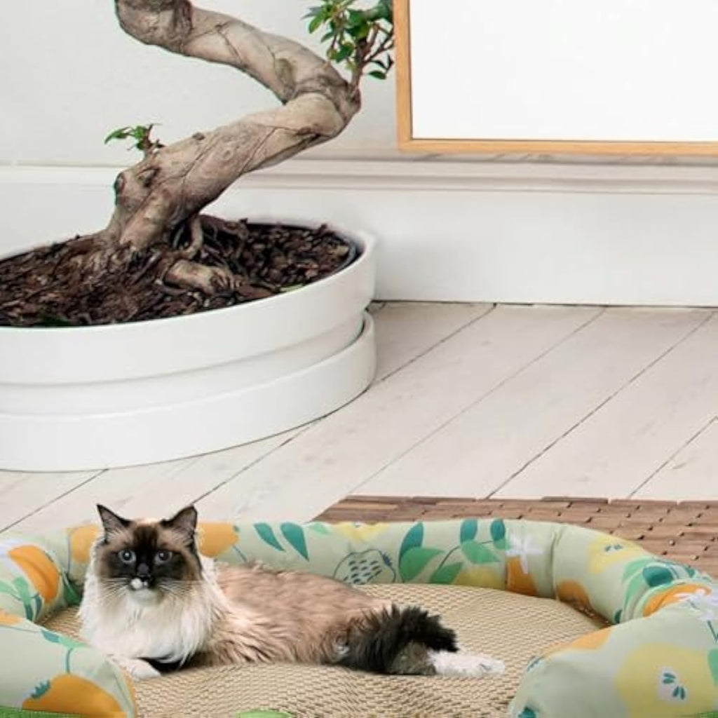 Cooling Sleep Pad for Dogs