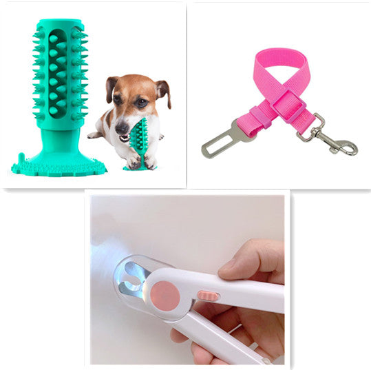 Toothbrush Stick for Dogs