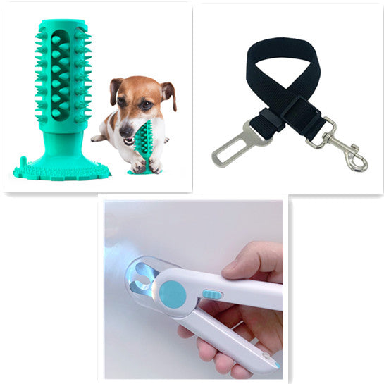 Toothbrush Stick for Dogs