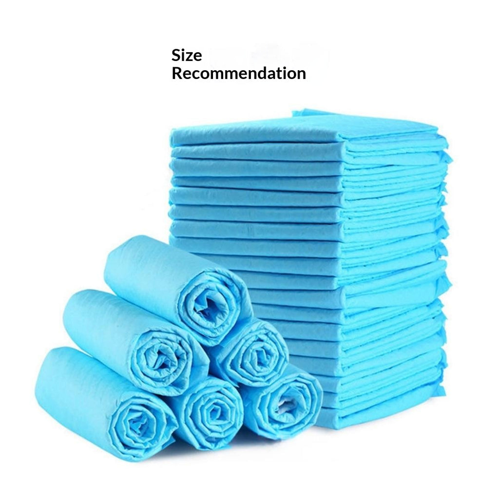 Thickened Absorbent Leak-Proof Training Pads
