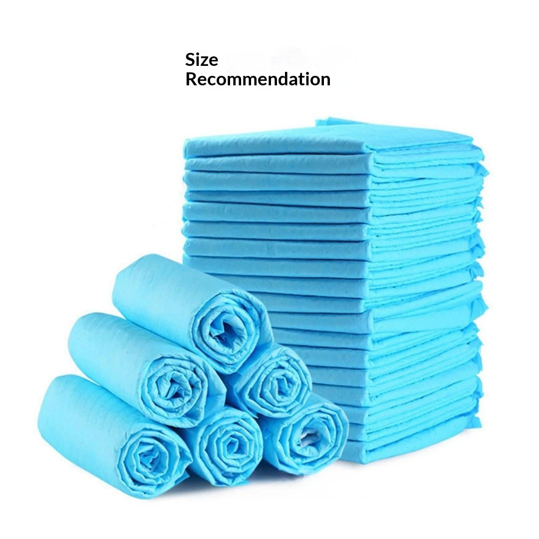 Thickened Absorbent Leak-Proof Training Pads