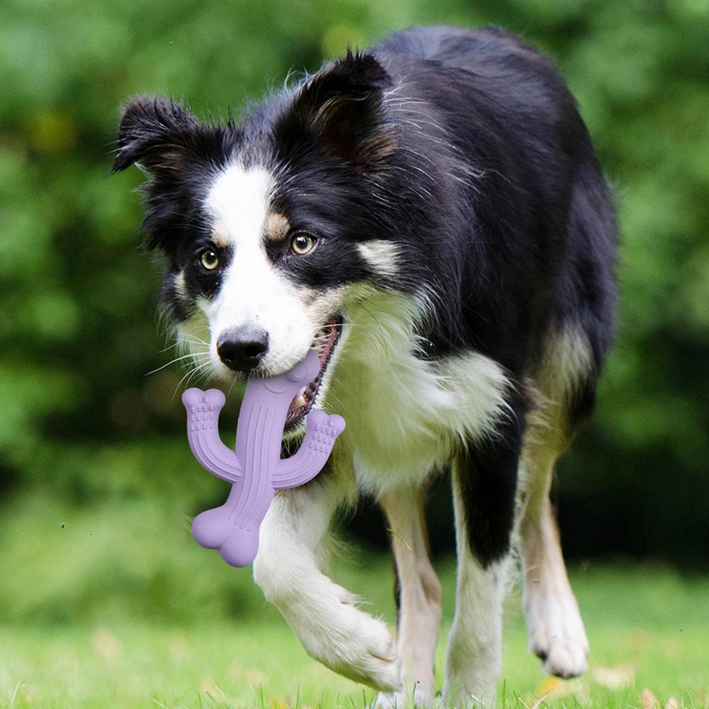 Cactus Dog Chew Toy in Beige, Purple & Blue