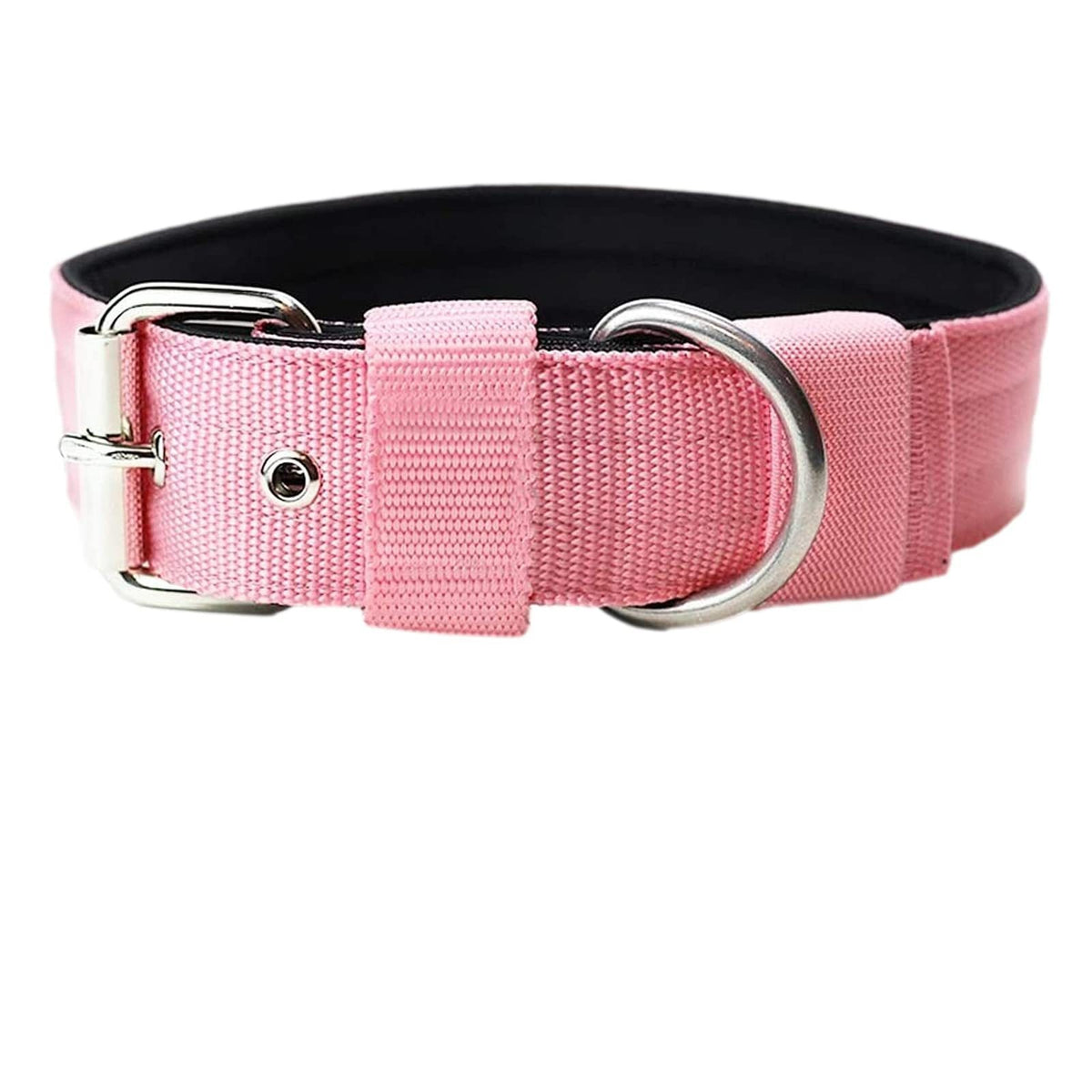 Padded Nylon Dog Collar - Pink