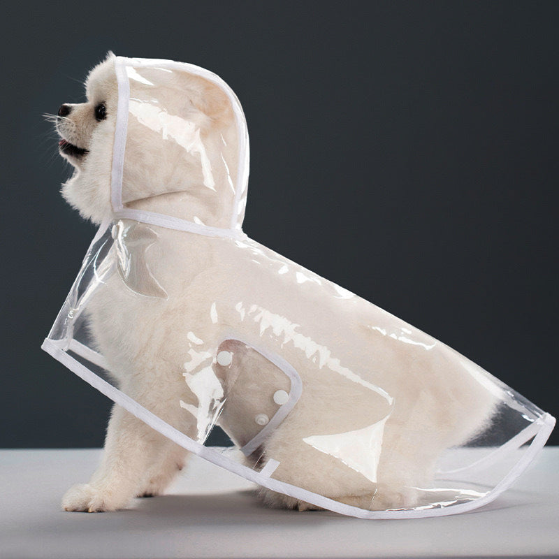 Clear Dog Raincoat with White Trim
